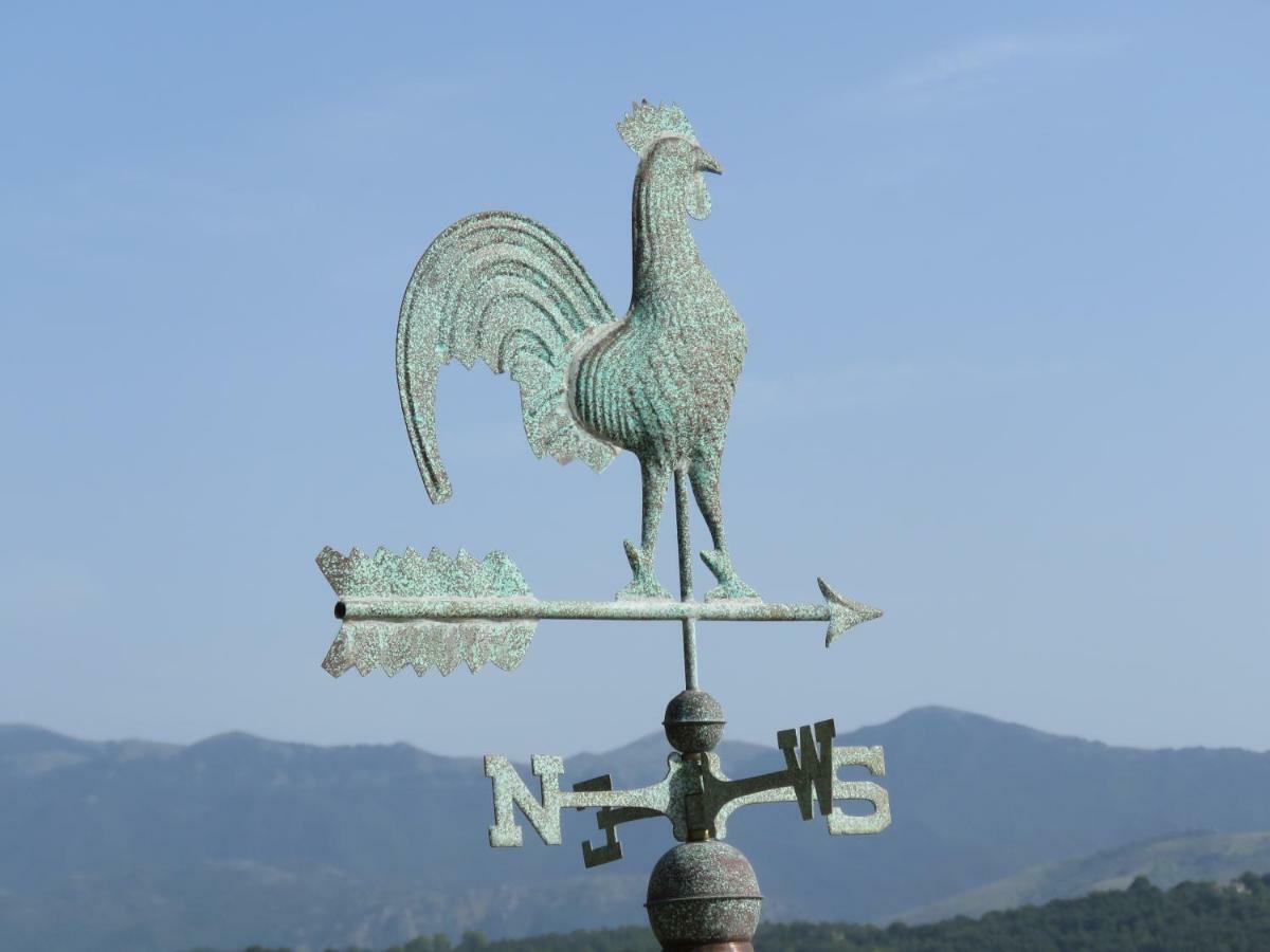 La Casa Sul Lago Posta Fibreno Ngoại thất bức ảnh